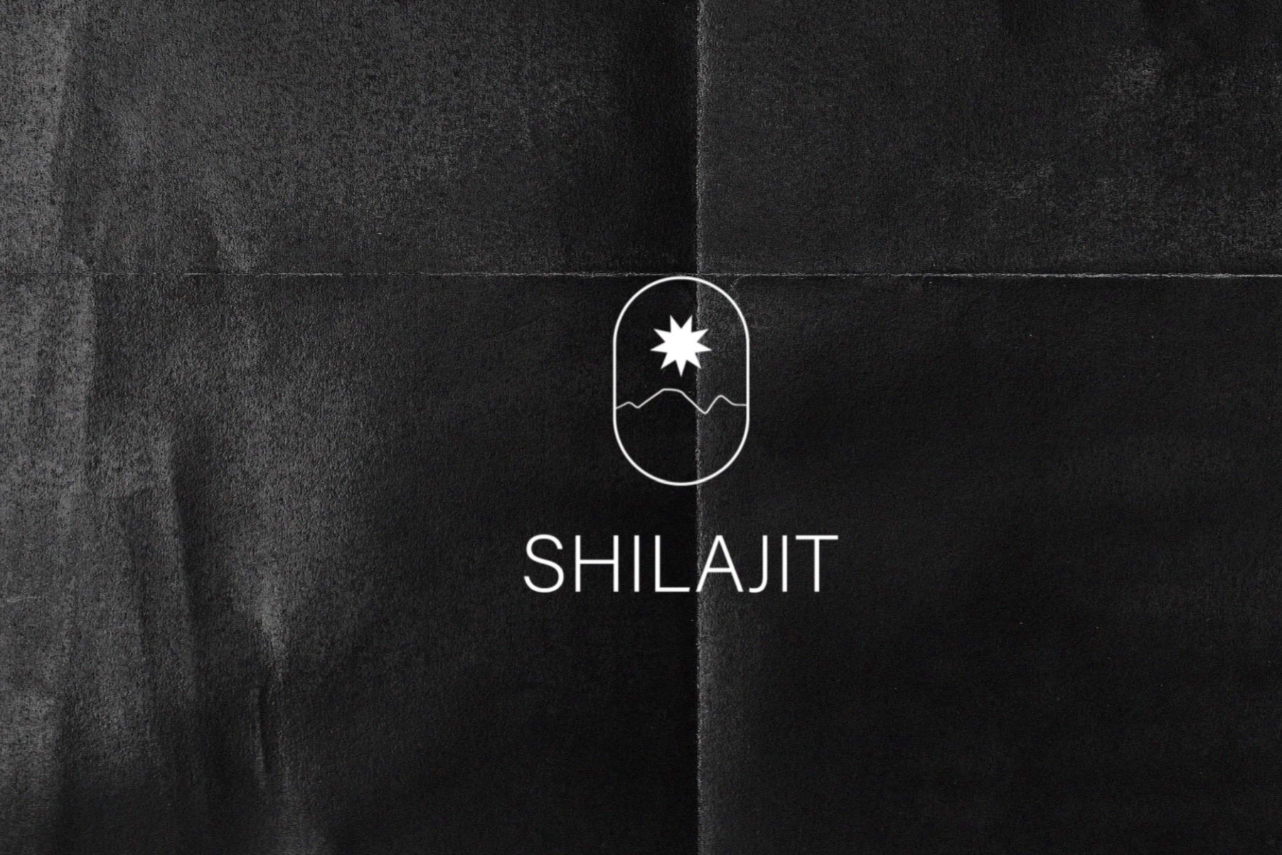 shilajit-web-design-logo-website